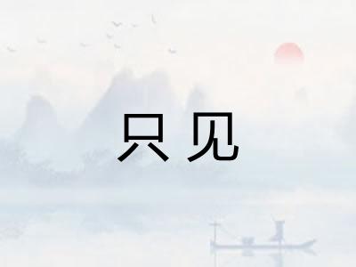 只见