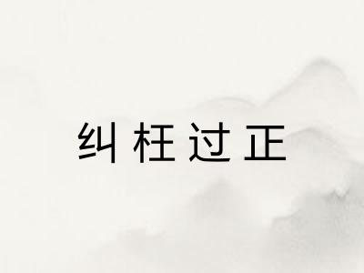 纠枉过正