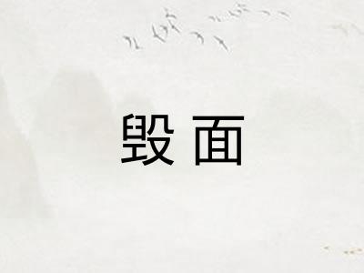 毁面
