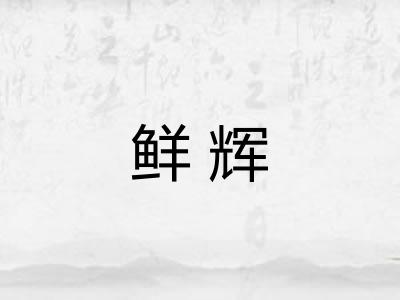 鲜辉