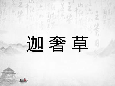 迦奢草