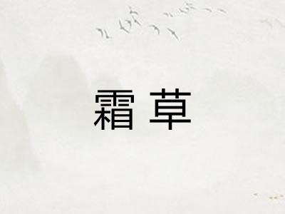 霜草