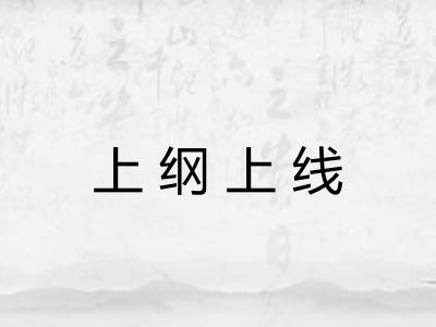 上纲上线