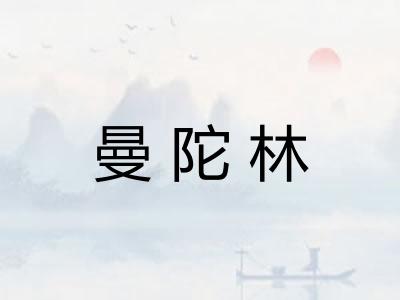 曼陀林