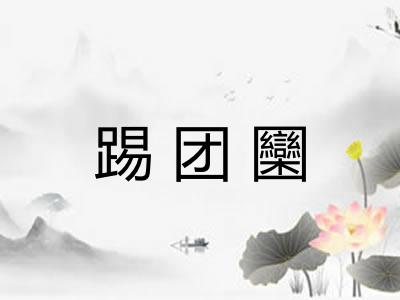 踢团圞