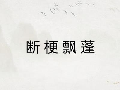 断梗飘蓬