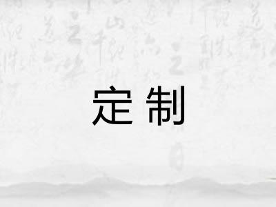 定制