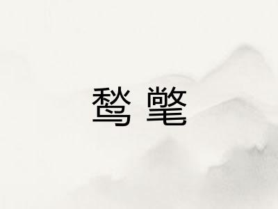 鹙氅