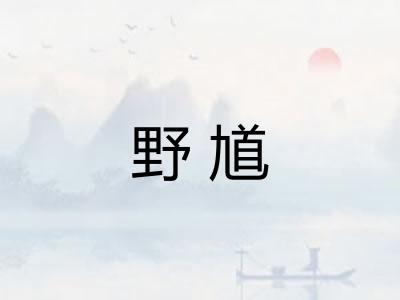 野馗
