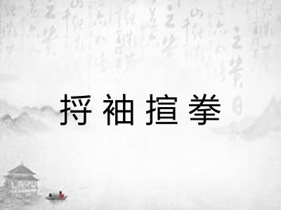 捋袖揎拳