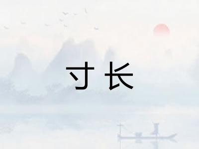 寸长