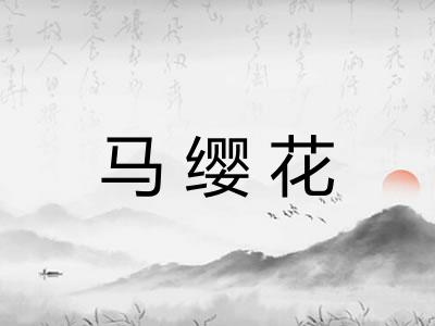 马缨花
