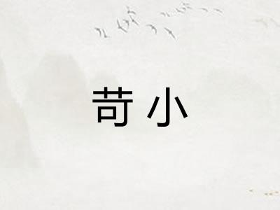苛小