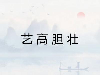 艺高胆壮