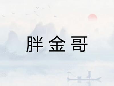 胖金哥