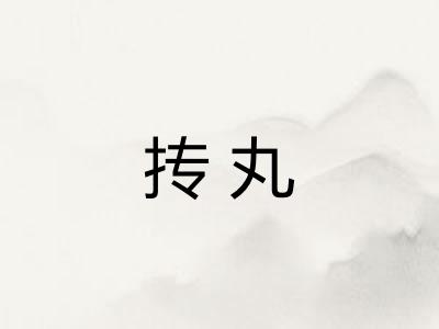 抟丸