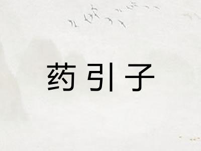 药引子