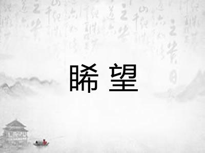 睎望
