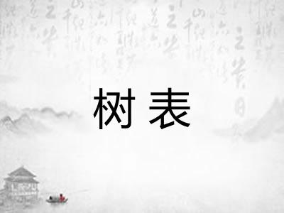 树表