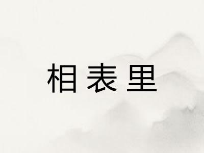 相表里