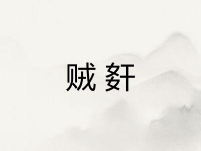 贼姧