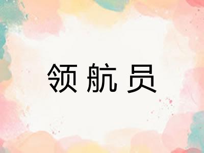 领航员