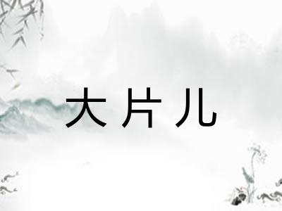 大片儿