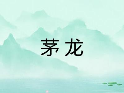 茅龙