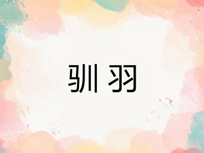 驯羽