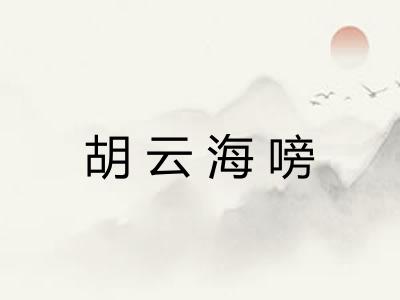 胡云海嗙