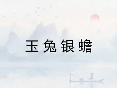 玉兔银蟾
