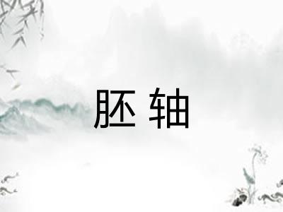 胚轴