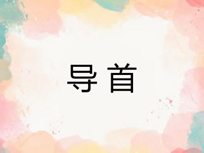 导首