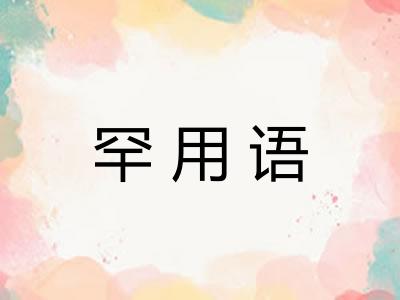 罕用语