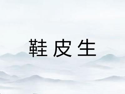 鞋皮生
