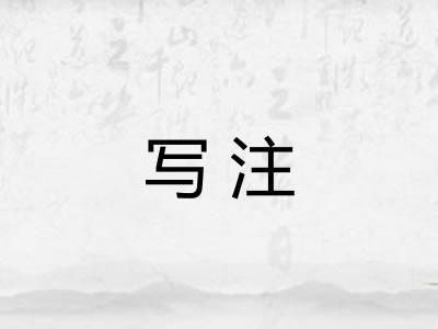 写注