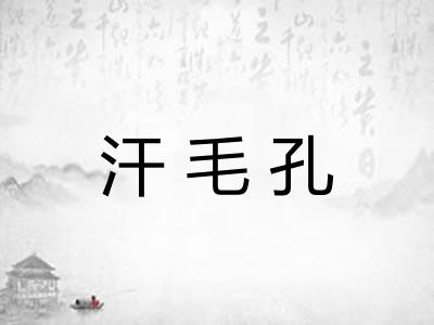 汗毛孔