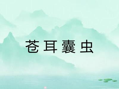 苍耳囊虫