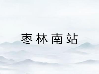 枣林南站
