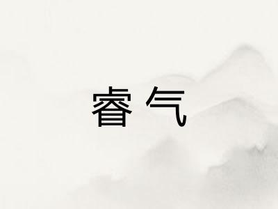 睿气