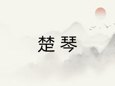 楚琴