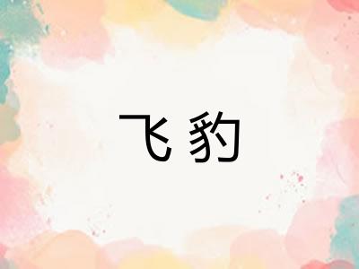 飞豹