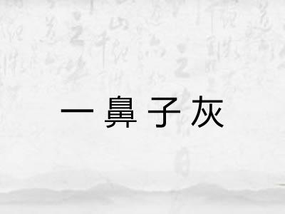 一鼻子灰