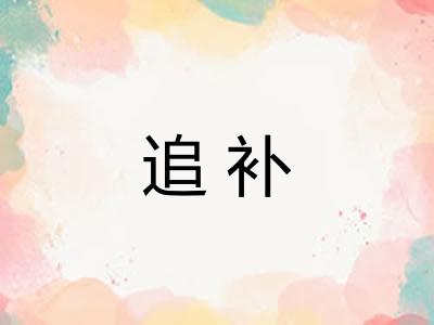 追补