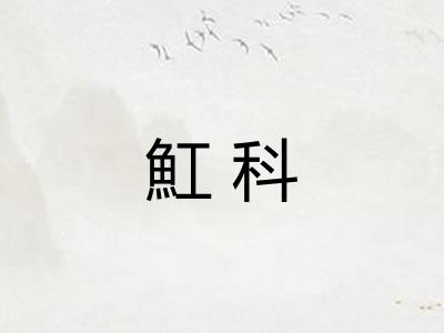 魟科