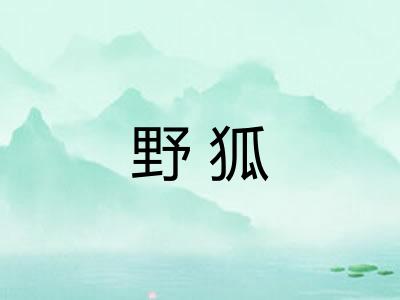野狐