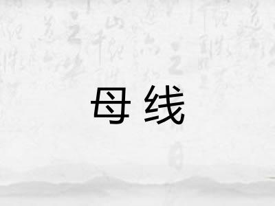 母线