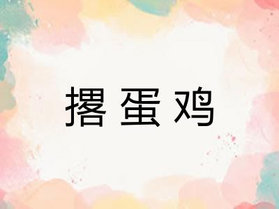 撂蛋鸡