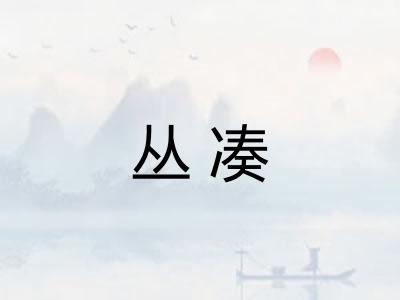 丛凑