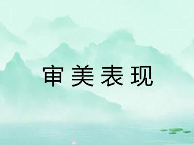 审美表现